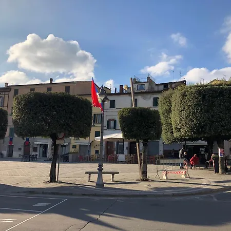 L'albero Della Sinalunga